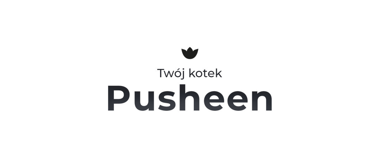 pusheen